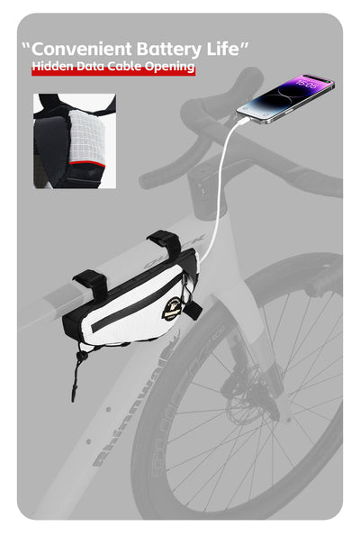 COSMOPOLIS Series X 1L Frame bag